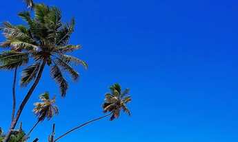 Imagem 7: Excelente lote a beira mar em Busca Vida. Com 100,00m de extensão para o mar