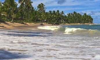 Imagem 6: Excelente lote a beira mar em Busca Vida. Com 100,00m de extensão para o mar