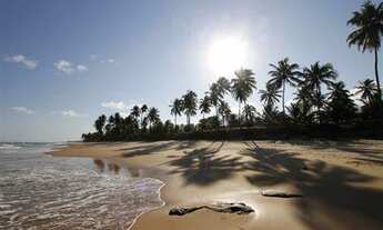 Imagem 4: Excelente lote a beira mar em Busca Vida. Com 100,00m de extensão para o mar