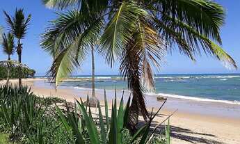 Imagem: Excelente lote a beira mar em Busca Vida