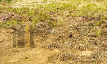 Imagem: TERRENO DE 5.304M² A VENDA NA CAPELA EM