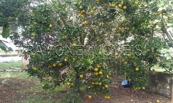 Imagem: CHACARA RESIDENCIAL em IBIÚNA - SP, bairro