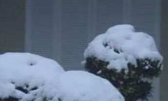 Imagem: CASA DE Alto Padrao A Venda Em GRAMADO A