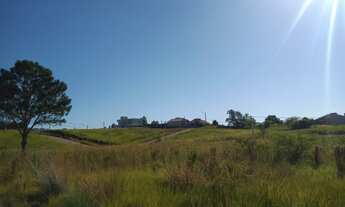 Imagem 5: Terreno a venda em sapiranga area nobre do bairro sao jaco em sapiranga aceita financiamen