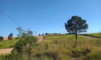 Imagem: Terrenos A venda em sapiranga no bairro