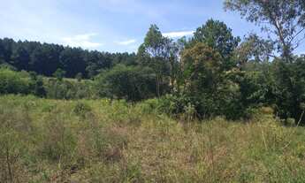 Imagem 6: Chacara de 30.000M² a venda em sapiranga regiao metropolitana de porto alegre apenas 3 mi