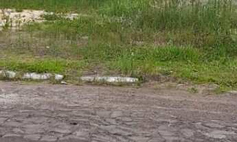 Imagem: Terreno A Venda No Bairro Centenário Em