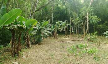 Imagem 5: Chacara a venda em Sapiranga próximo ao bairro centenário excelente oportunidade de 120.0