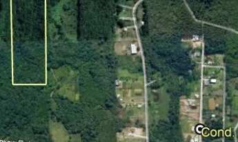 Imagem 4: Chacara a venda em Sapiranga próximo ao bairro centenário excelente oportunidade de 120.0