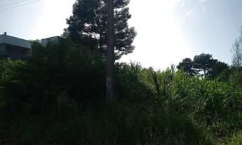 Imagem 6: Terreno de 643,00 M² com mais de 17,00 metros de fachada a venda em Sapiranga Bairro Horiz