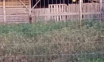 Imagem: Terreno a venda no bairro S Luiz em Sapiranga