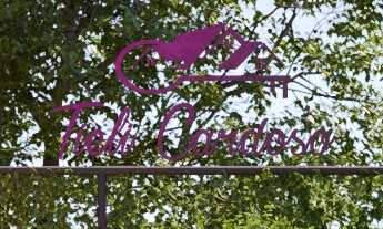 Imagem 6: COM UMA ENTRADA DE APENAS R$245 MIL E PARCELAS DIRETAMENTE COM A CONSTRUTORA ESSE APÊ PODE