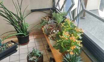 Imagem 4: Ao lado do Forum Jabaquara , colégio Arquidiocesano e metrô Santa Cruz