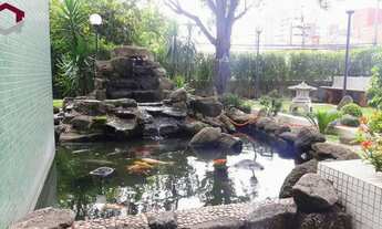 Imagem 2: CONJUNTO COMERCIAL PARA VENDA , PADRÃO CONSTRUTIVO MATUSHITA