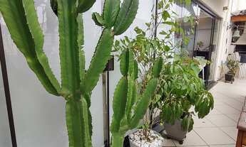 Imagem 6: Cobertura duplex com piscina,três vagas fixas, proximo metrô