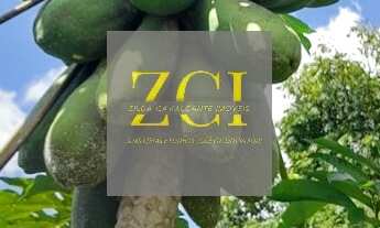 Imagem 5: CHACARA RURAL em ELIAS FAUSTO - SP, SAMBAIA