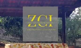 Imagem 4: CHACARA RURAL em ELIAS FAUSTO - SP, SAMBAIA