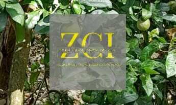 Imagem 3: CHACARA RURAL em ELIAS FAUSTO - SP, SAMBAIA