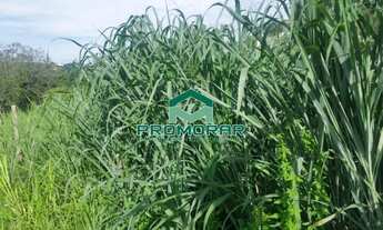 Imagem 5: Excelente lote plano com 1000m² no bairro São Luiz, Pampulha, Belo Horizonte