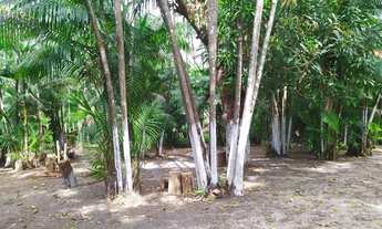 Imagem: SITIO RESIDENCIAL em SÃO JOSE DE RIBAMAR