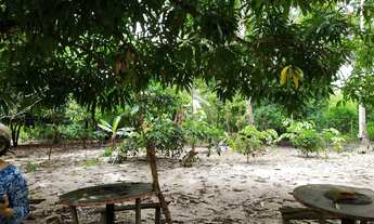 Imagem: SITIO RESIDENCIAL em SÃO JOSÉ DE RIBAMAR