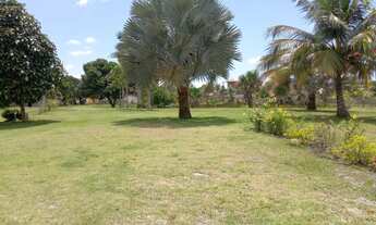 Imagem 6: TERRENO COMERCIAL em BARREIRINHAS - MA, BARREIRINHAS