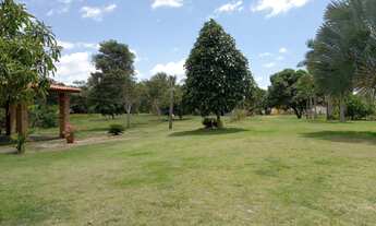 Imagem 5: TERRENO COMERCIAL em BARREIRINHAS - MA, BARREIRINHAS