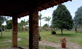 Imagem 7: TERRENO COMERCIAL em BARREIRINHAS - MA, BARREIRINHAS
