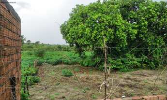 Imagem: TERRENO COMERCIAL em BARREIRINHAS - MA