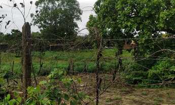 Imagem 6: TERRENO COMERCIAL em BARREIRINHAS - MA, BOA VISTA