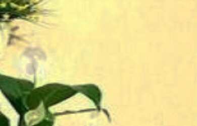 Imagem 3: Apartamento a venda na Vila Bocaina em Muá, com 3 quartos sendo uma suite, sala com sacada