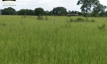 Imagem 5: Fazenda espetacular à venda em Nossa Senhora do Livramento-MT: 975,89 hectares com georefe