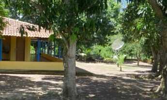 Imagem 6: Fazenda com 700 hectares a venda a 42 km de Cuiabá