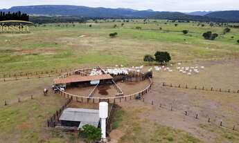 Imagem 2: Fazenda com 700 hectares a venda a 42 km de Cuiabá