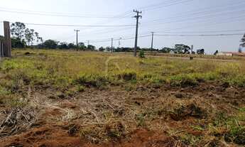 Imagem 4: Lote à Venda no Pequi-Mangaba