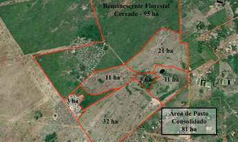 Imagem 7: Fazenda de 194 Hectares à venda em Várzea Grande