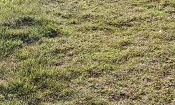 Imagem: Terreno à venda em Chapada dos Guimarães