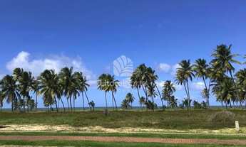 Imagem: Terreno no Iberostate na Praia do Forte