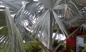 Imagem 5: SOBRADO PARA VENDA NO CONDOMÍNIO VIVENDAS DO JAPI - MEDEIROS - JUNDIAÍ SP