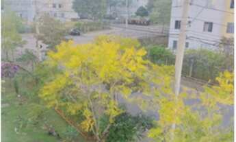 Imagem 2: Apto de 2 quartos c/ 1 vaga na Aglomeração Urbana: oportunidade única de investimento!