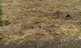 Imagem: EXCELENTE TERRENO PARA VENDA NO RESIDENCIAL