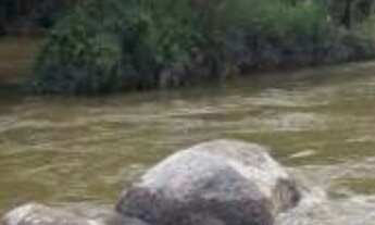 Imagem 2: Sítio de 146.250,00 m² à venda em Sítio Mãe E Filho - SP, bairro Cachoeirinha: uma oportun