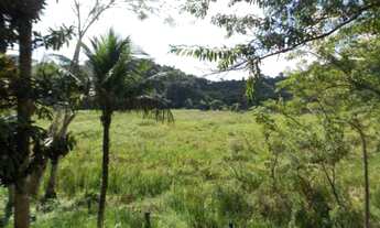 Imagem 4: Sítio de 146.250,00 m² à venda em Sítio Mãe E Filho - SP, bairro Cachoeirinha: uma oportun