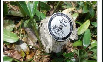 Imagem 5: Sítio de 146.250,00 m² à venda em Sítio Mãe E Filho - SP, bairro Cachoeirinha: uma oportun