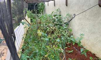 Imagem 3: CASA, VENDA E COMPRA, CAXAMBÚ, JUNDIAÍ