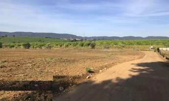 Imagem: ÁREA COM 230 MIL m² PARA VENDA - PINHAL