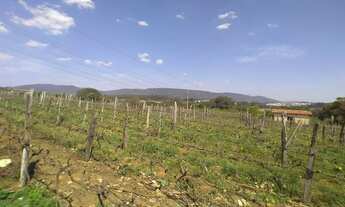 Imagem 4: AREA PARA CONDOMINIO, AREA GRANDE NO MEDEIROS, AREA VERDE, MEDEIROS