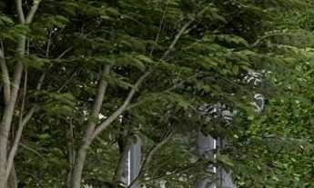 Imagem 2: Petra Apartamento de 2 Suítes no Bairro Auxiliadora