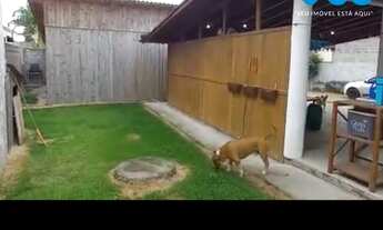 Imagem 4: Casa a venda Ribeirão da Ilha em Florianópolis