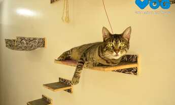 Imagem 7: Residencial Villagio de Roma Apartamento de 3 dormitórios com vaga no bairro Alto Petrópol